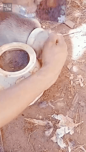 멍뭉이 구조 | 인스티즈