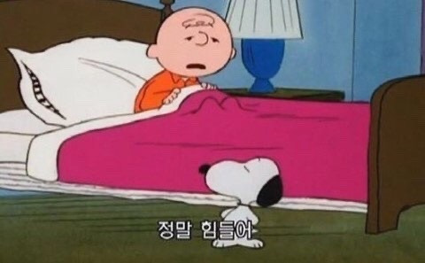 독립한 이후에 느껴지는 '집에 와서 쉬어'의 차이 | 인스티즈