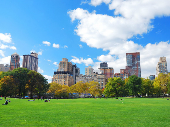 유명한 세계의 도시 공원들 수집해 옴 | 인스티즈