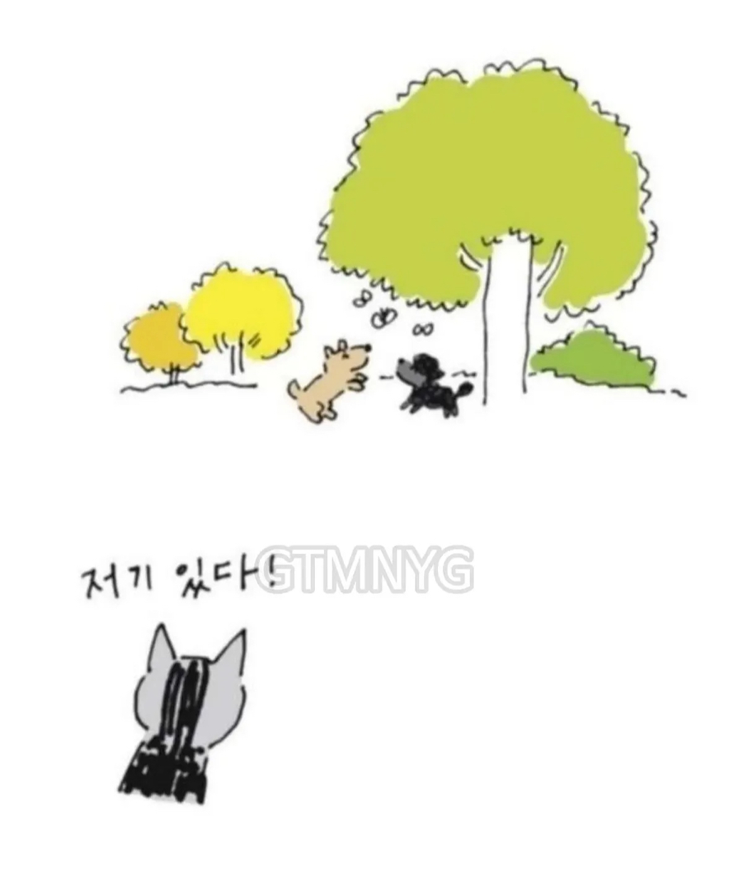 사람들이 잘 모르는 '무지개다리 건넌 반려동물'이 마중나오는 짤 뒷 이야기ㅜㅜ | 인스티즈