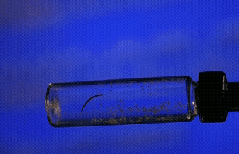 열성 유전자로 태어나서 회사 서류심사도 광탈만 당함 ㅠㅠ.gif | 인스티즈