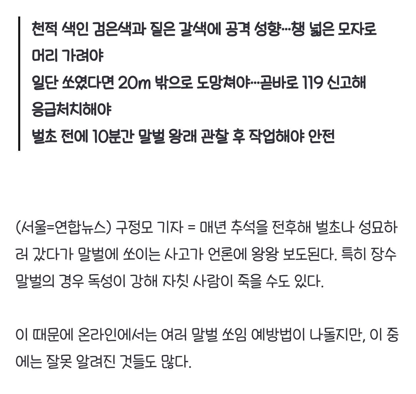 [팩트체크] 벌초 골칫덩이 말벌, 검은 머리를 좋아한다?…벌 쏘임 피하려면 | 인스티즈