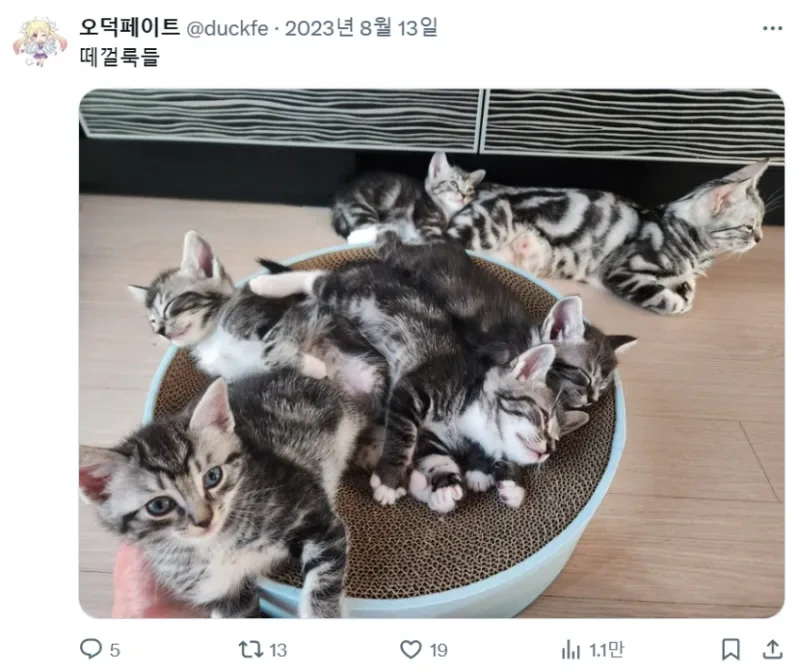 화성인 바이러스 오덕 페이트 근황 | 인스티즈