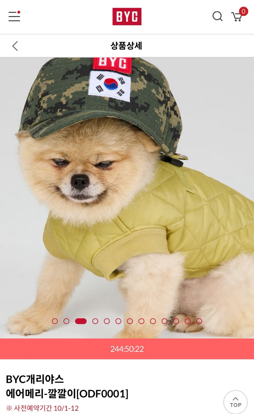 BYC에서 강아지 깔깔이 나옴!!!! | 인스티즈