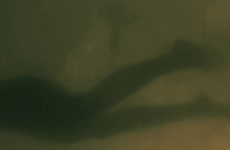 열성 유전자로 태어나서 회사 서류심사도 광탈만 당함 ㅠㅠ.gif | 인스티즈