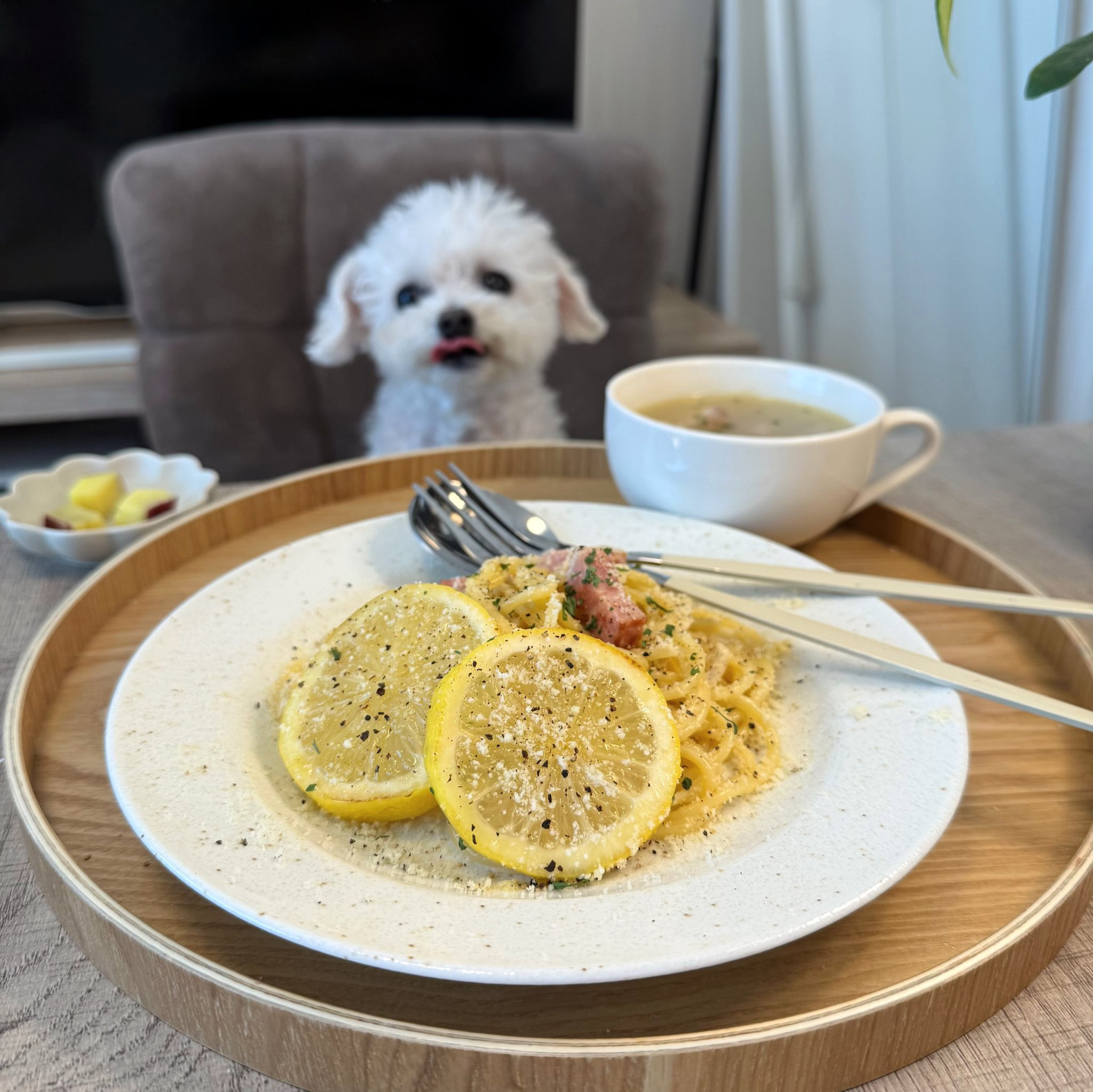 반려견과 함께 밥먹는 사진으로 화제된 트위터 계정.jpg | 인스티즈