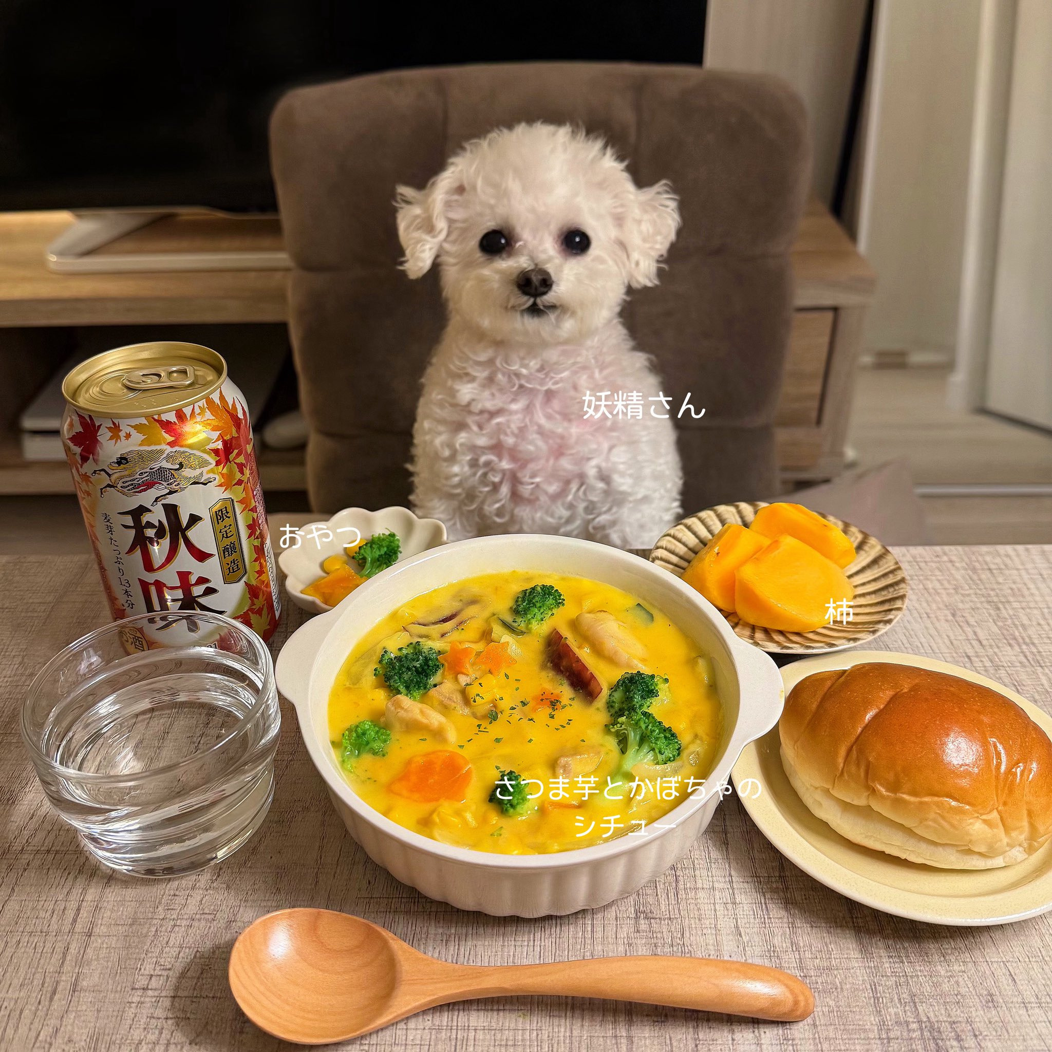 반려견과 함께 밥먹는 사진으로 화제된 트위터 계정.jpg | 인스티즈