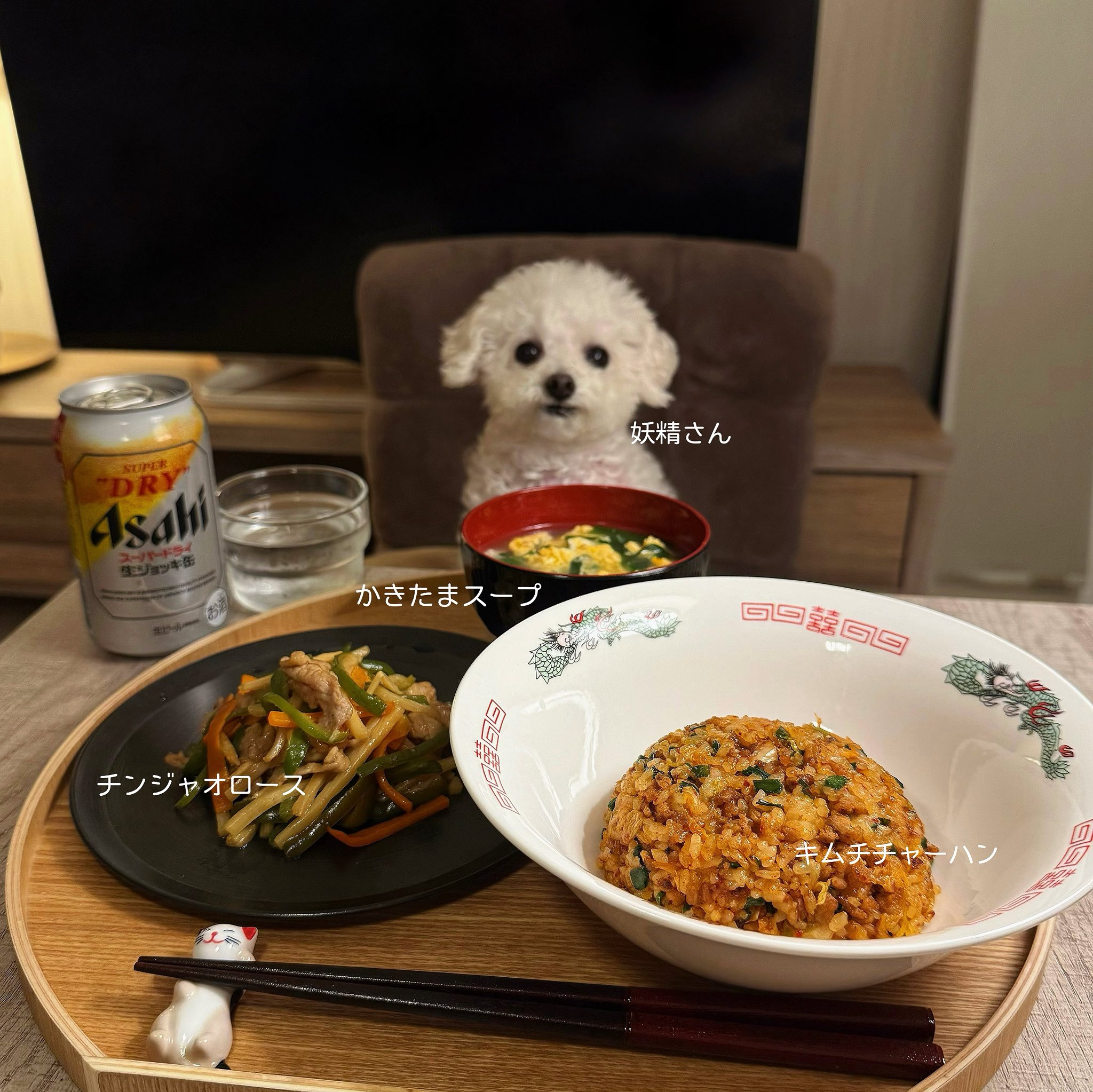 반려견과 함께 밥먹는 사진으로 화제된 트위터 계정.jpg | 인스티즈