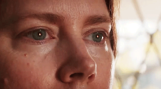 독박육아 개같이 했더니 진짜 개가 되어가는 것 같아요...jpg | 인스티즈