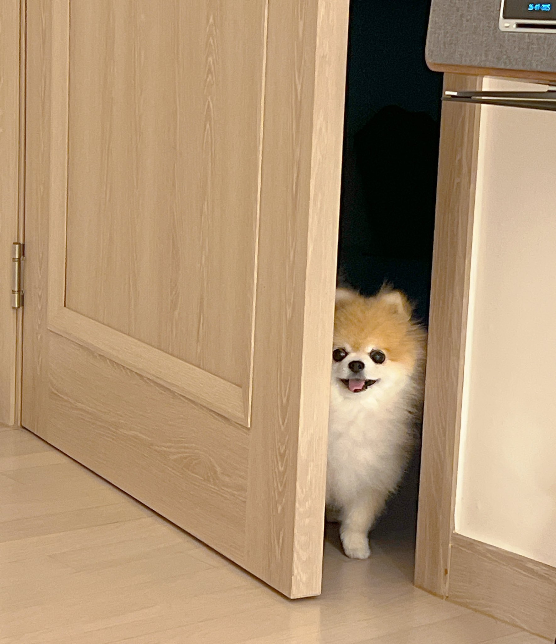 같이 자러 왔대 | 인스티즈