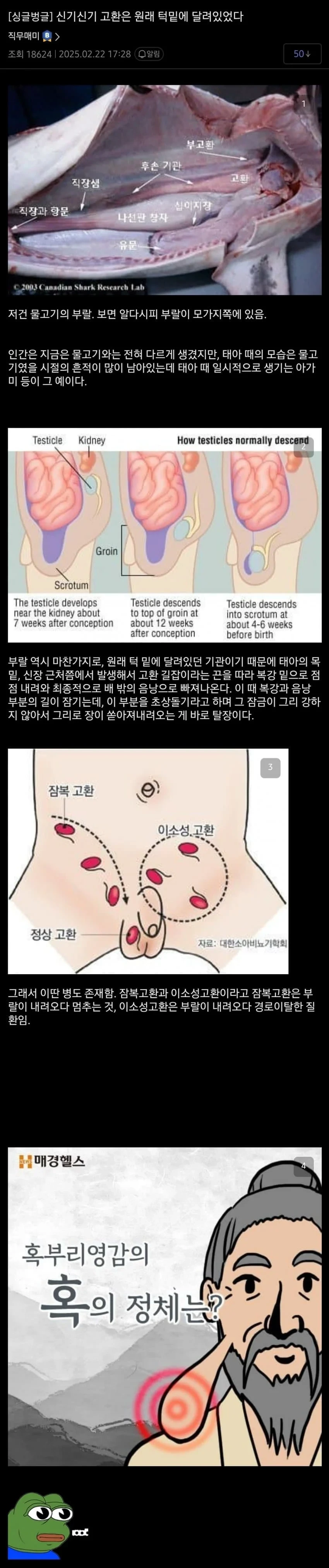 고환은 원래 턱 밑에 달려있었다.jpg | 인스티즈