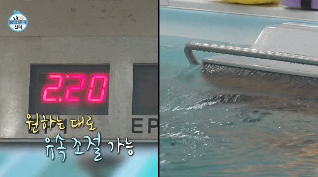 [나혼자산다] 하루에 운동 세 탕 뛰는 샤이니 민호 | 인스티즈