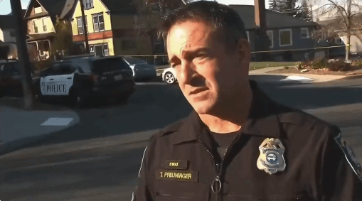 방송을 도와주는 고양이들 | 인스티즈