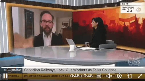 방송을 도와주는 고양이들 | 인스티즈