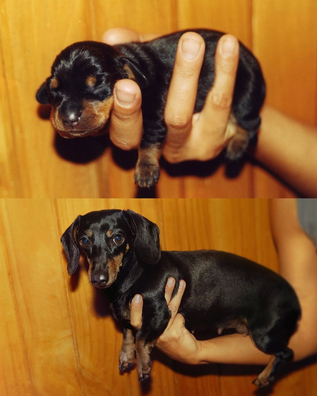 아르헨티나 사진작가가 찍은 어린시절/현재모습 재현한 사진들.jpp | 인스티즈