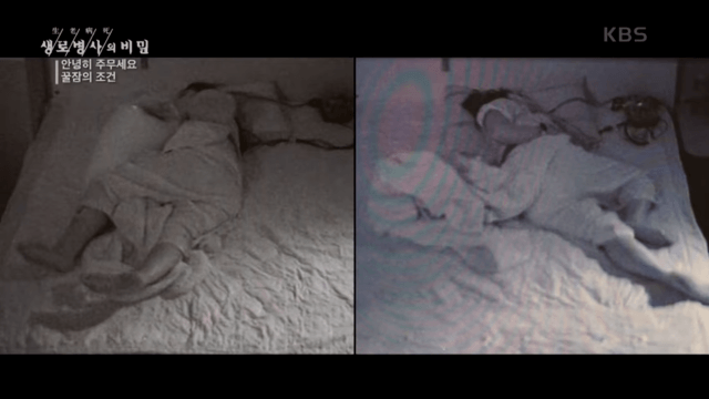 현대인들이 아침에 피곤한 이유 | 인스티즈