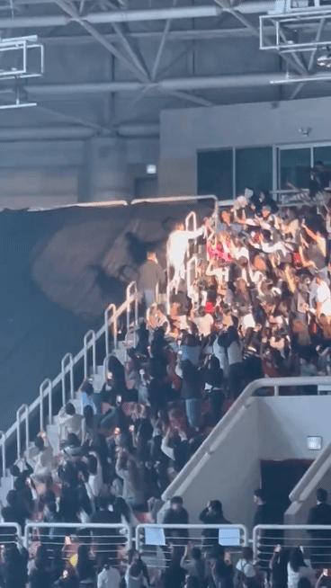 8만원대 공연으로 디너쇼급 공연해준 연예인 | 인스티즈