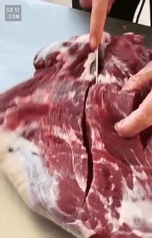 갓잡은 소고기 | 인스티즈