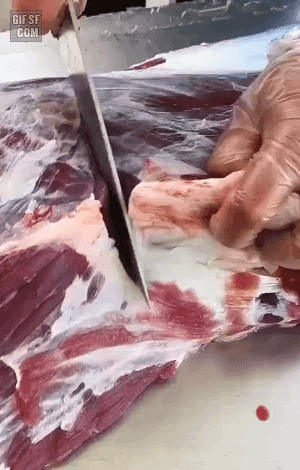 갓잡은 소고기 | 인스티즈