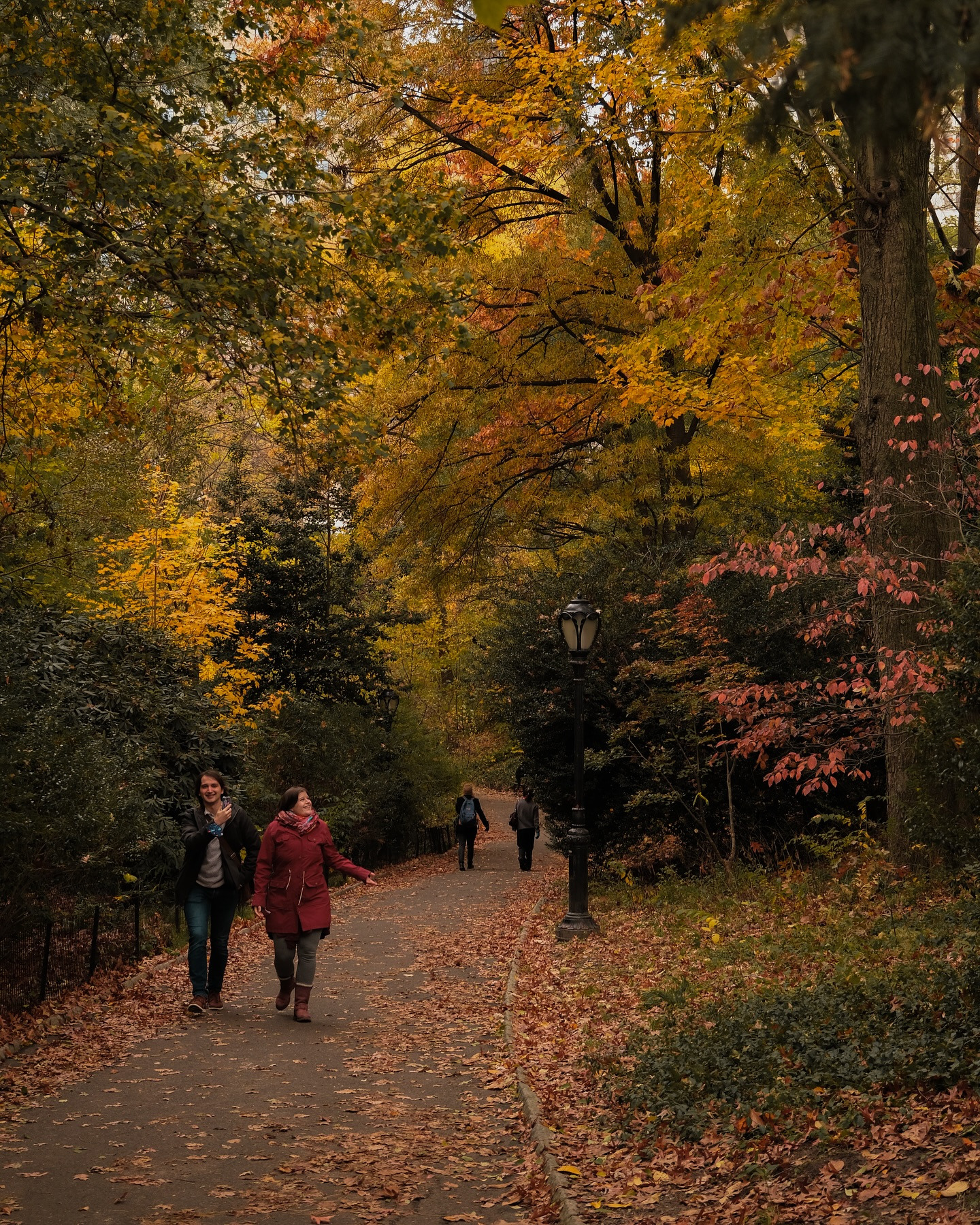 뉴욕은 무조건 가을 | 인스티즈