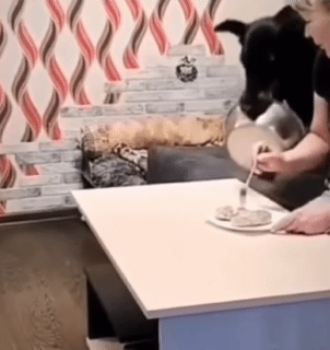 나눠먹어요 | 인스티즈