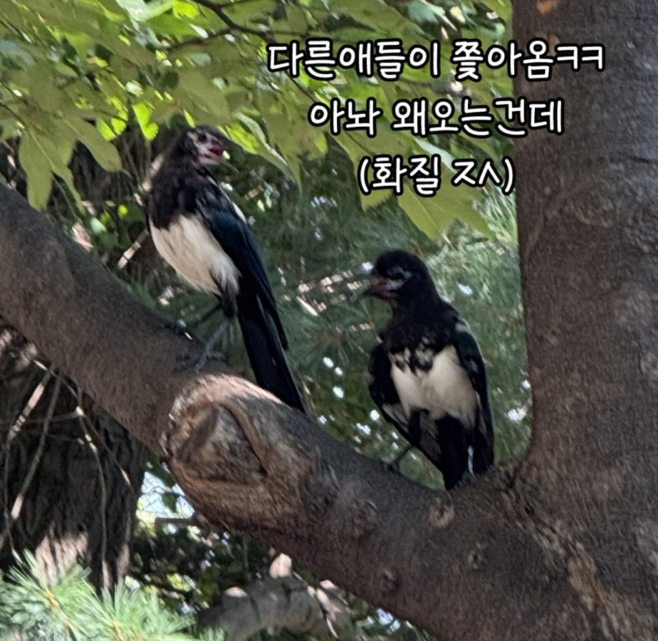 여기서 물을 마실 수 있는거였어? | 인스티즈