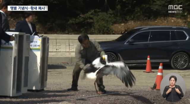현재 환멸난다고 난리난 황새 폐사 사건.. 황새 폐사 직전 모습.gif | 인스티즈