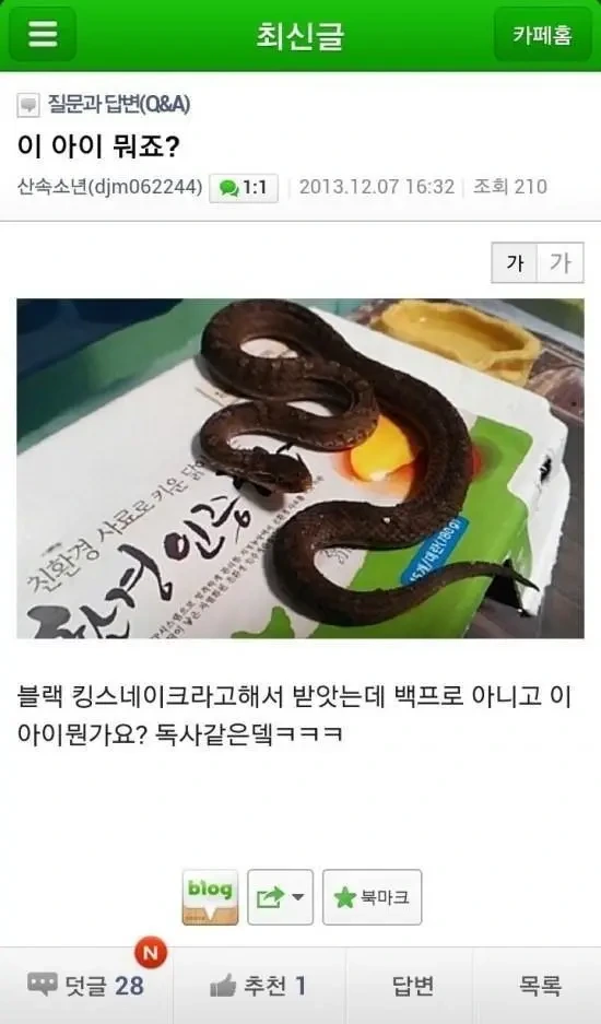 애완용 뱀 구매했는데 독사 받은 사건 | 인스티즈