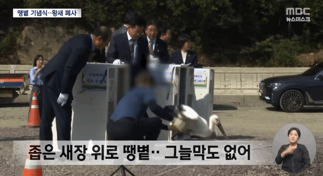 현재 환멸난다고 난리난 황새 폐사 사건.. 황새 폐사 직전 모습.gif | 인스티즈