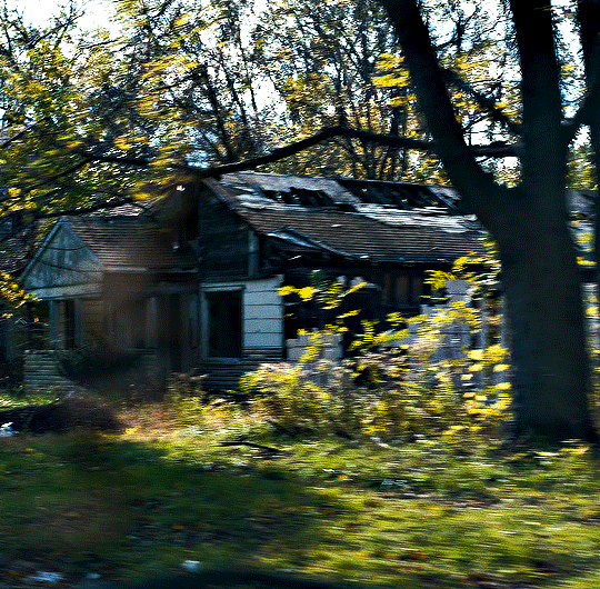 영화 비바리움 vs 영화 바바리안.gif | 인스티즈