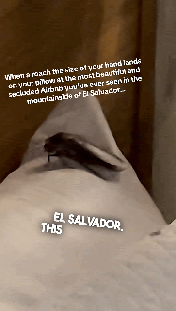 에어비앤비에서 겪은 역대급 공포 (..퀴 주의) | 인스티즈