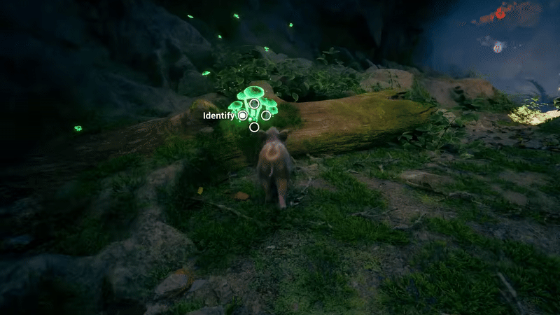 아기멧돼지가 되어 모험을 떠나는 신작 힐링게임 | 인스티즈