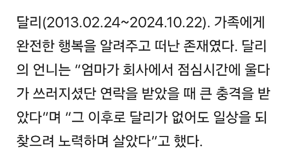 달리 떠난 지 1년, 여전히 밥 기다리는 마음 | 인스티즈