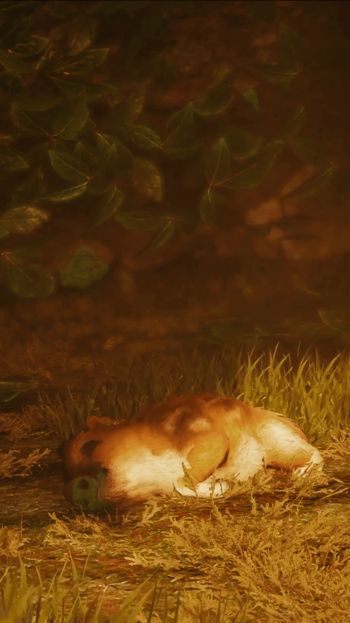 아기멧돼지가 되어 모험을 떠나는 신작 힐링게임 | 인스티즈