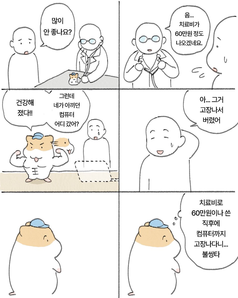 아픈 햄스터를 동물병원에 데려갔다 | 인스티즈
