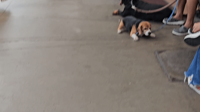 악명높은 필리핀 마닐라에서의 1주일 후기 | 인스티즈