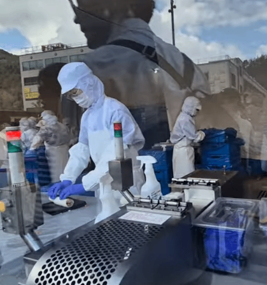 김천 김밥축제 김밥 굴리는 사람 봐봐 | 인스티즈