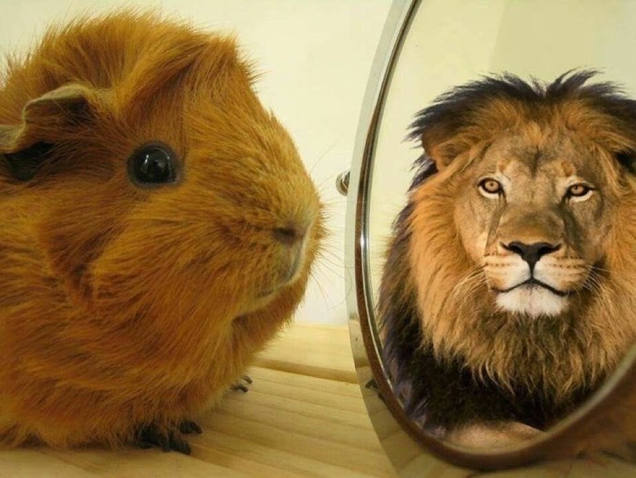 아이브 레이가 요즘 아침마다 힘 얻는다는 짤ㅋㅋㅋㅋㅋ | 인스티즈