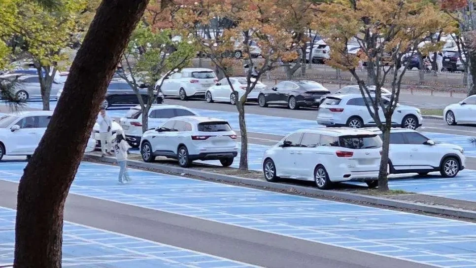 무개념 주차가 많은 서울대공원 주차장 | 인스티즈