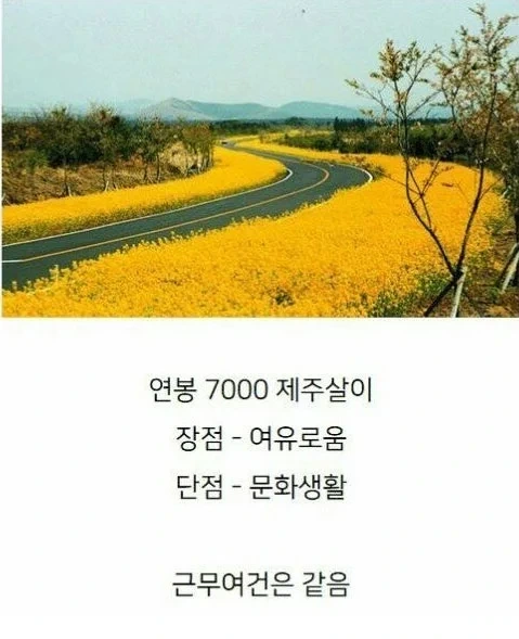연봉 5000 서울살이 vs 연봉 7000 제주살이 | 인스티즈