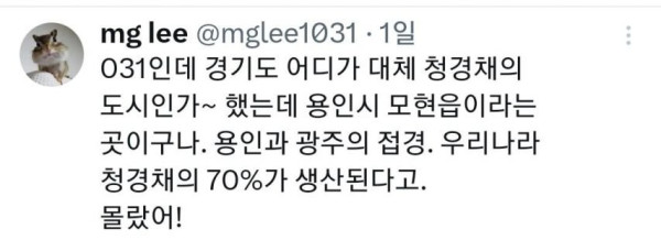 친구가 자기 동네에 청경채 동상 있대서 무슨 소리냐고 했는데.jpg | 인스티즈