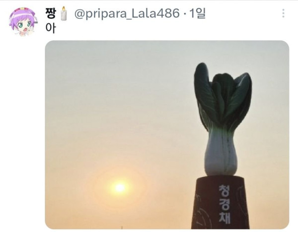 친구가 자기 동네에 청경채 동상 있대서 무슨 소리냐고 했는데.jpg | 인스티즈