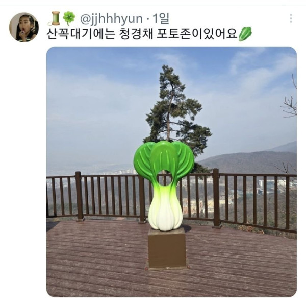 친구가 자기 동네에 청경채 동상 있대서 무슨 소리냐고 했는데.jpg | 인스티즈