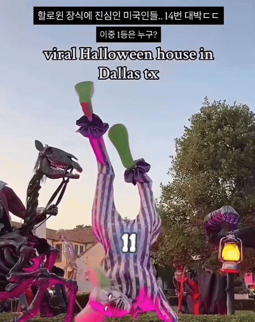 올해 할로윈 집꾸미기.gif | 인스티즈