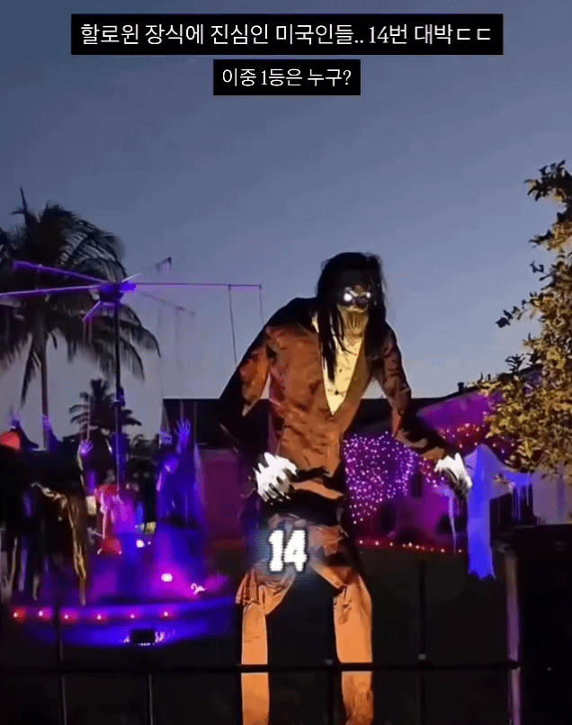 올해 할로윈 집꾸미기.gif | 인스티즈