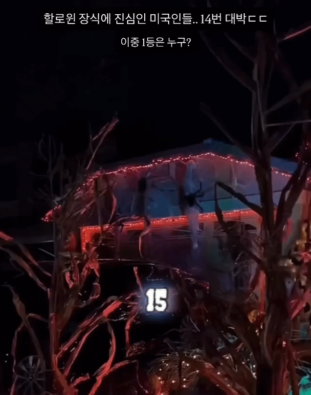 올해 할로윈 집꾸미기.gif | 인스티즈