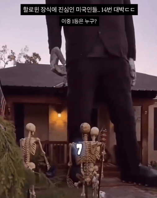 올해 할로윈 집꾸미기.gif | 인스티즈