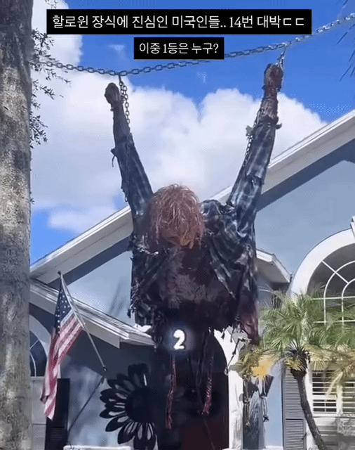 올해 할로윈 집꾸미기.gif | 인스티즈