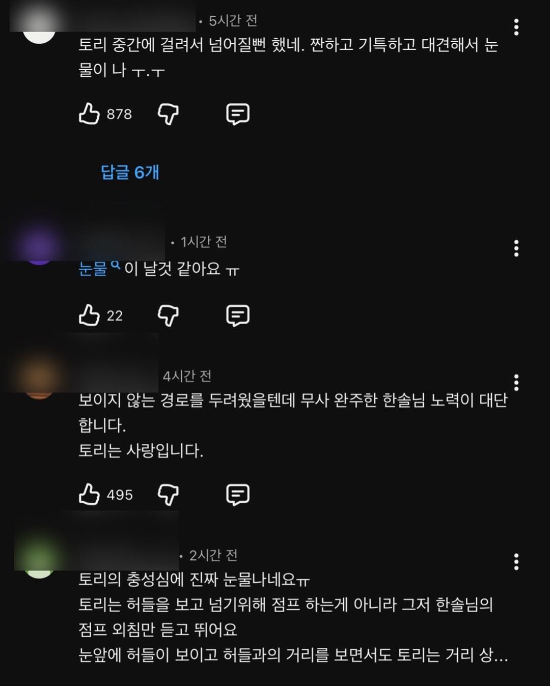 시각장애인 원샷한솔과 강쥐토리의 어질리티 대회 도전기 | 인스티즈