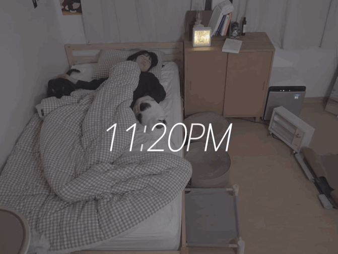 고양이들과 함께 자는 집사의 밤 | 인스티즈